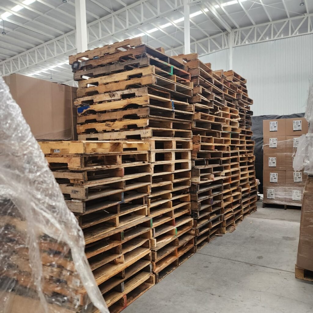 WhatsApp Image 2025-09-20 at 12.47.50 PM