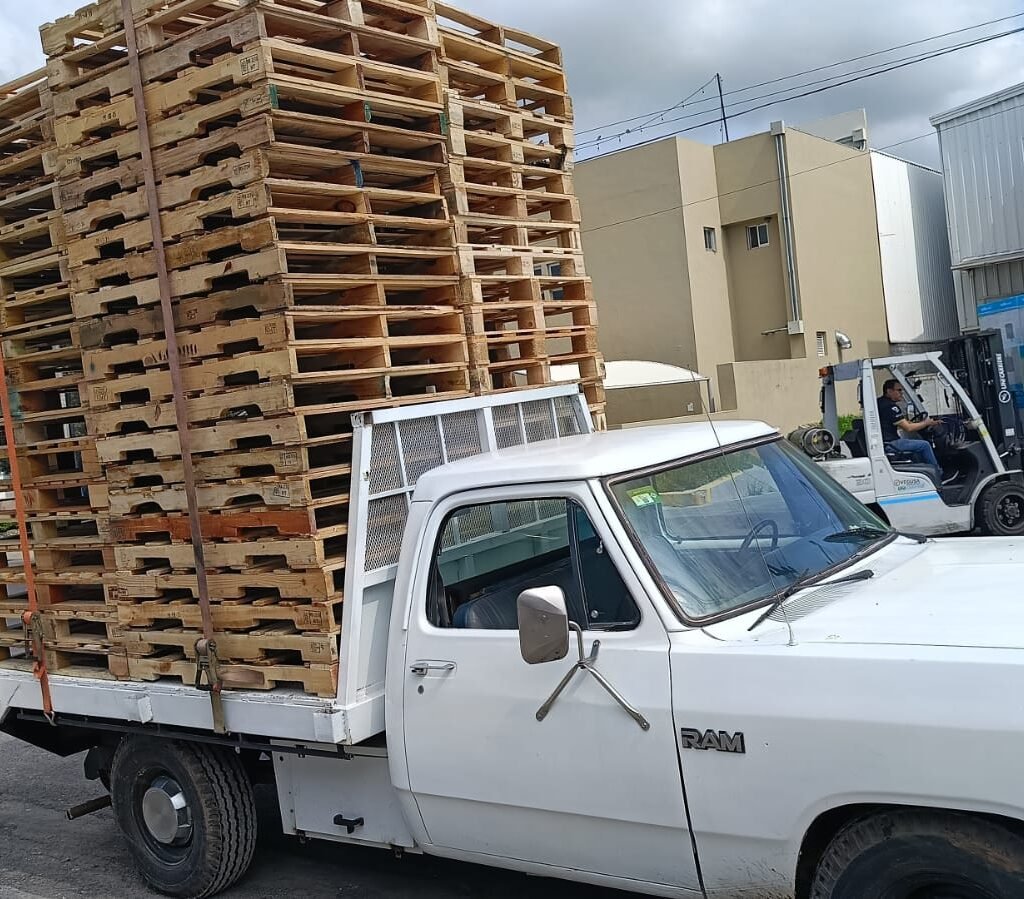 WhatsApp Image 2025-09-20 at 12.47.50 PM (2)