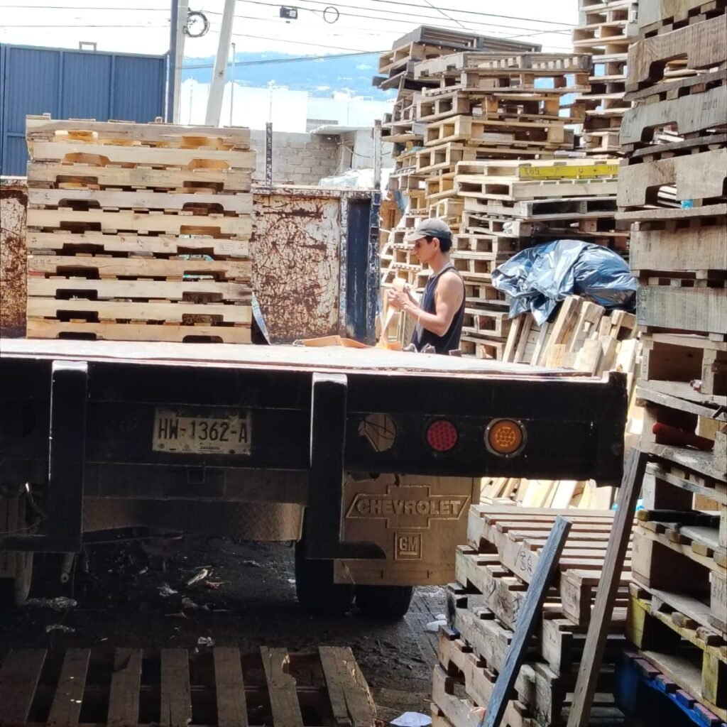 WhatsApp Image 2025-09-20 at 12.47.51 PM