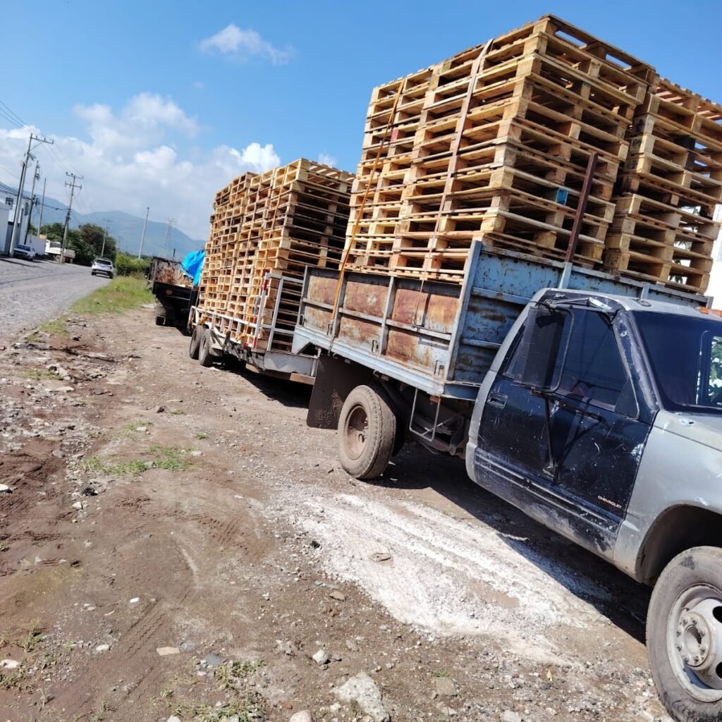 WhatsApp Image 2025-09-20 at 12.47.52 PM