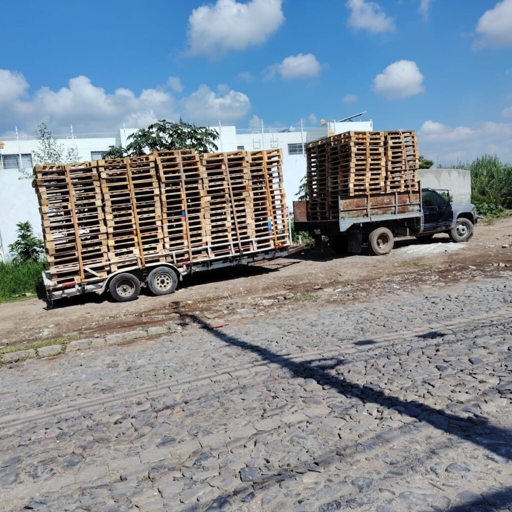 WhatsApp Image 2025-09-20 at 12.47.54 PM (1)