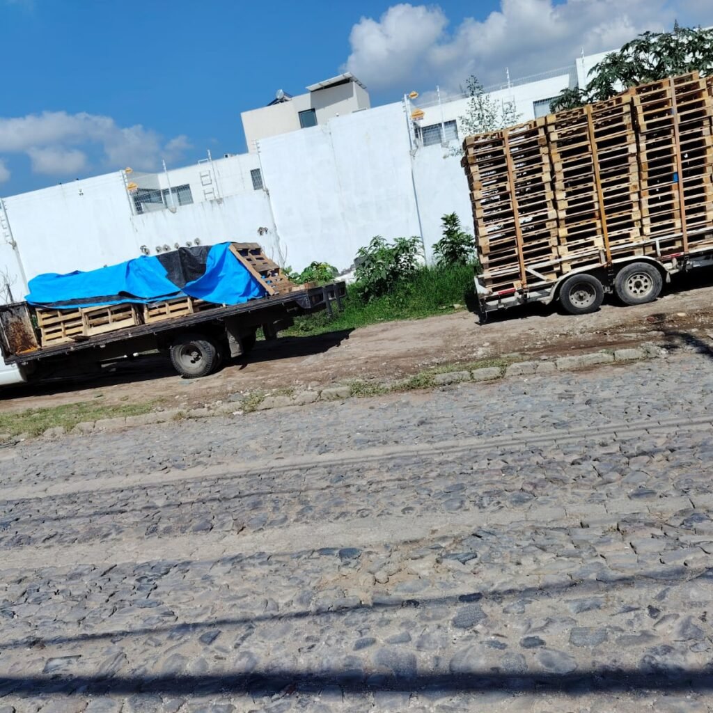 WhatsApp Image 2025-09-20 at 12.47.54 PM