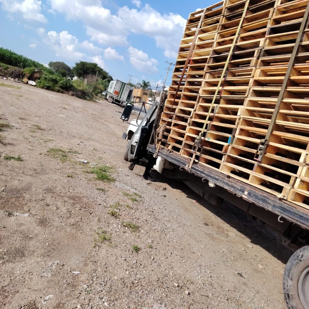 WhatsApp Image 2025-09-20 at 12.47.54 PM (2)