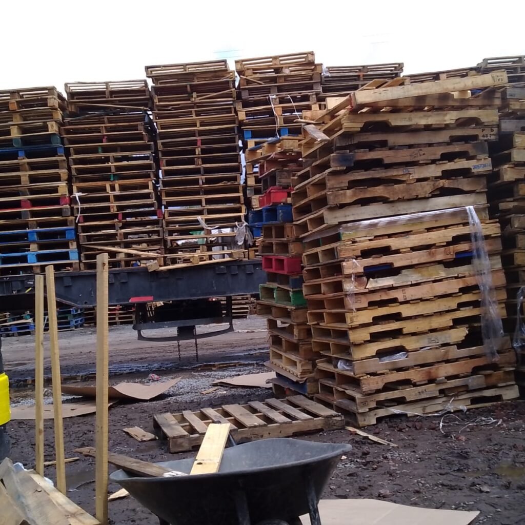 WhatsApp Image 2025-09-20 at 12.47.55 PM (1)