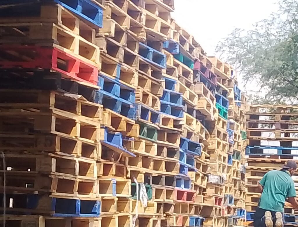 WhatsApp Image 2025-09-20 at 12.47.55 PM